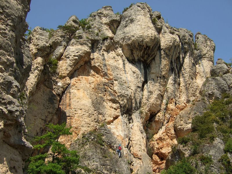 Liaucous: liaucous044.jpg