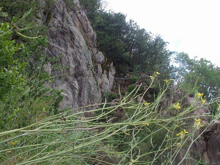Les Gorges du Haut Cher: lignerolles006.jpg