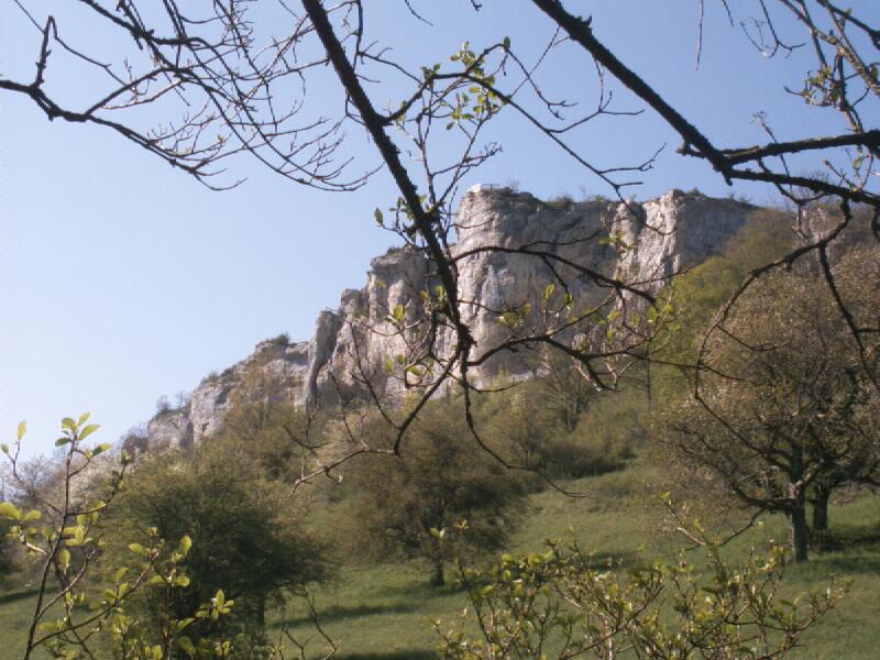 La Roche du Mont: ornans01.jpg