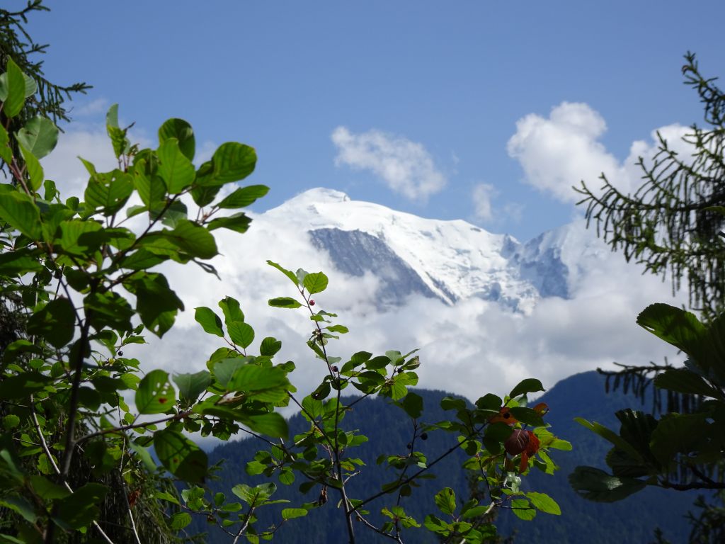 Curalla: passy033.jpg