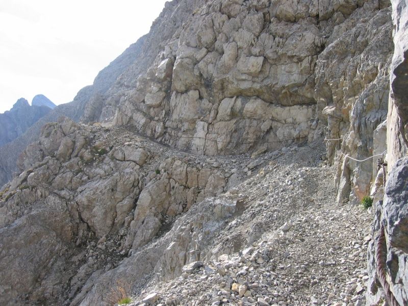 : plampinet002.jpg