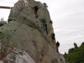 buislesbaronnies005.jpg