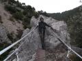 buislesbaronnies007.jpg