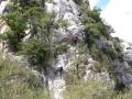 buislesbaronnies010.jpg