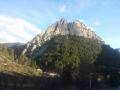 buislesbaronnies013.jpg