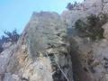 buislesbaronnies018.jpg