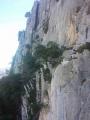 buislesbaronnies023.jpg