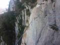 buislesbaronnies024.jpg