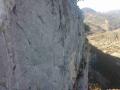 buislesbaronnies025.jpg