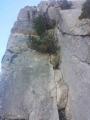 buislesbaronnies026.jpg