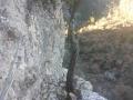 buislesbaronnies027.jpg