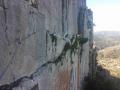 buislesbaronnies029.jpg