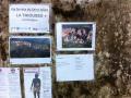 buislesbaronnies034.jpg