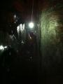 buislesbaronnies037.jpg