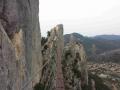 buislesbaronnies038.jpg