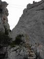 buislesbaronnies044.jpg