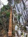 buislesbaronnies047.jpg