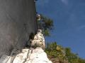 buislesbaronnies054.jpg