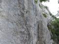 buislesbaronnies058.jpg