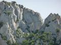 buislesbaronnies074.jpg