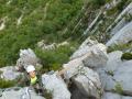 buislesbaronnies078.jpg