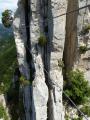 buislesbaronnies081.jpg