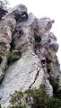 buislesbaronnies086.jpg