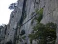buislesbaronnies099.jpg