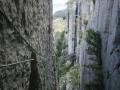 buislesbaronnies100.jpg