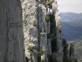 buislesbaronnies102.jpg