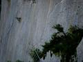 buislesbaronnies103.jpg
