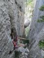 buislesbaronnies110.jpg
