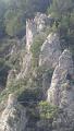 buislesbaronnies117.jpg