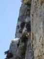 buislesbaronnies127.jpg