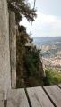 buislesbaronnies137.jpg