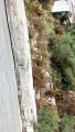 buislesbaronnies138.jpg