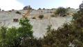 buislesbaronnies143.jpg
