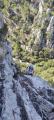 buislesbaronnies146.jpg