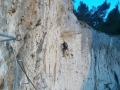 cavaillon003.jpg