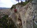 cavaillon035.jpg