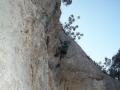 cavaillon072.jpg