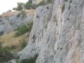 cavaillon082.jpg