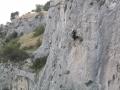 cavaillon083.jpg