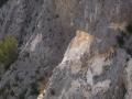 cavaillon086.jpg