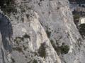 cavaillon087.jpg