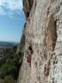 cavaillon119.jpg