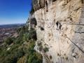 cavaillon123.jpg