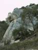 collias006.jpg