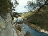 collias009.jpg