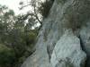 collias010.jpg